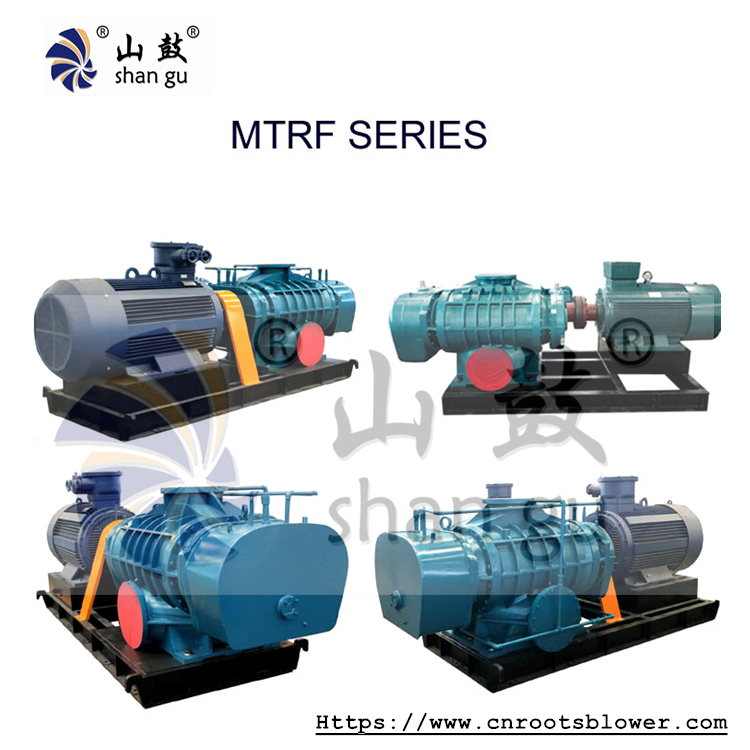 sé séidire fréamhacha