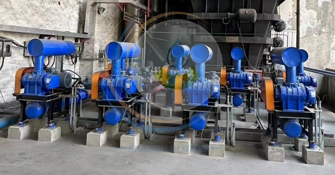 羅茨鼓風機 容積式鼓風機 項目現場