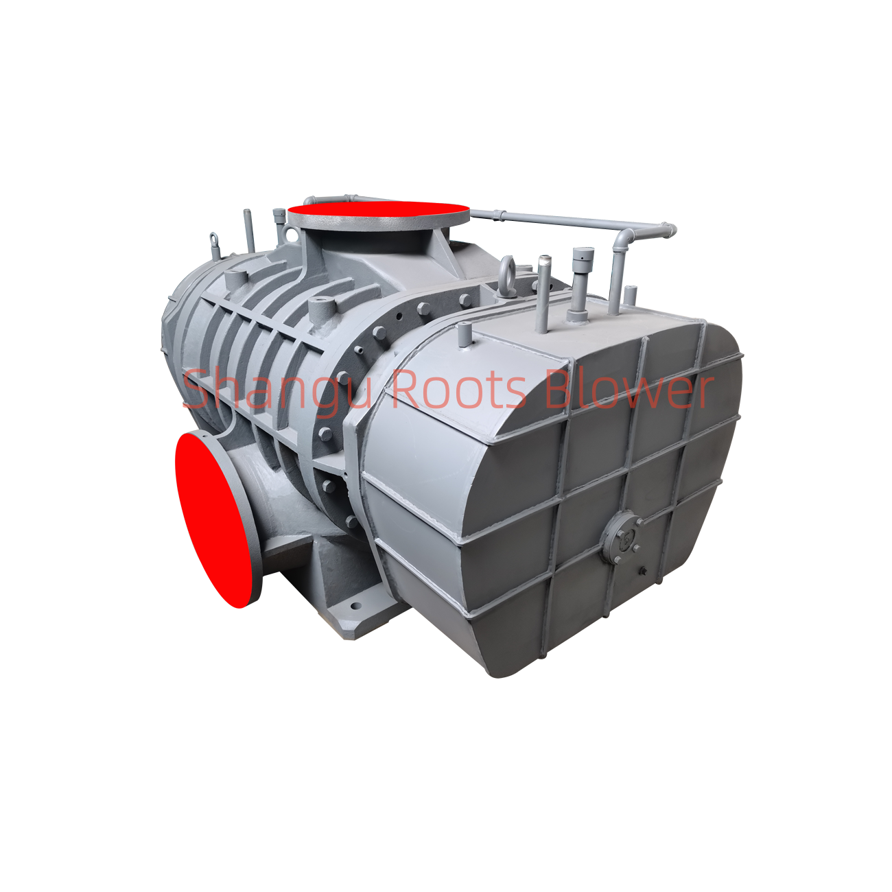 Roots Blowers for Pneumatic Conveying System - Shangu Roots Blower and ...