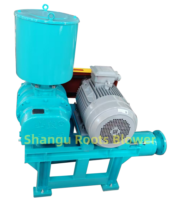 roots blowers for pneumatic conveying system