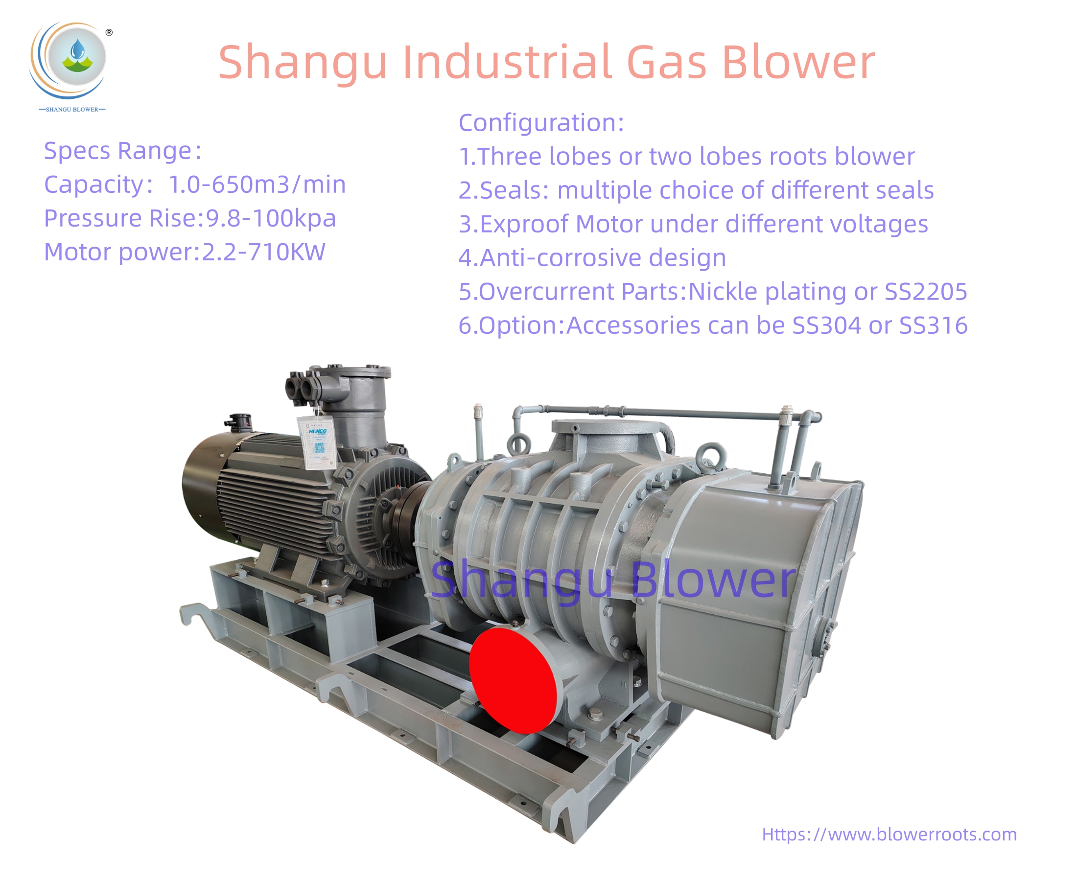 Industrial Gas blower packages