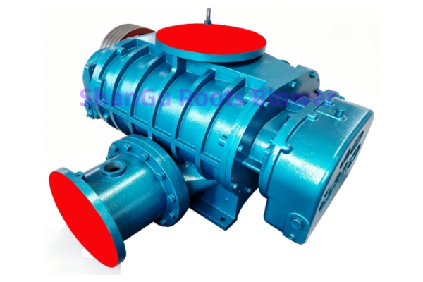 Roots Rotary Lobe Blower
