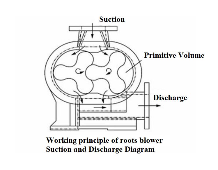 positive displacement blower